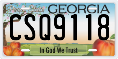 GA license plate CSQ9118