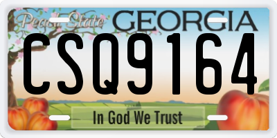 GA license plate CSQ9164