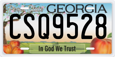 GA license plate CSQ9528