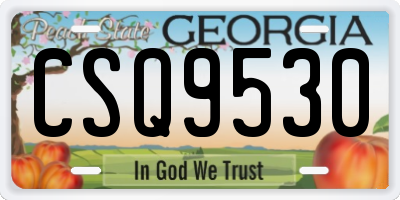 GA license plate CSQ9530