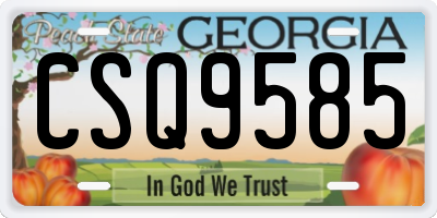 GA license plate CSQ9585