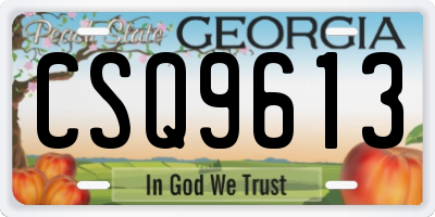GA license plate CSQ9613