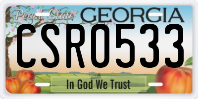 GA license plate CSR0533