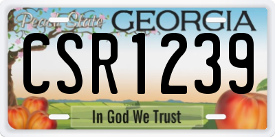 GA license plate CSR1239