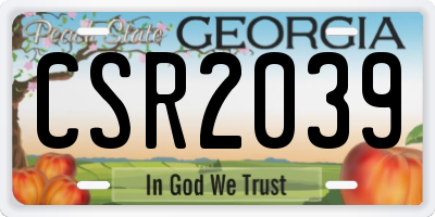 GA license plate CSR2039