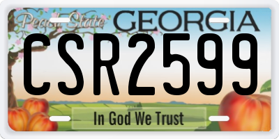GA license plate CSR2599
