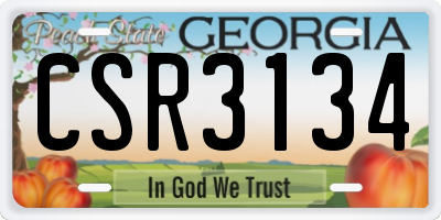 GA license plate CSR3134