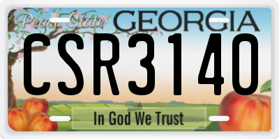 GA license plate CSR3140