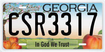 GA license plate CSR3317