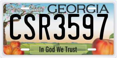 GA license plate CSR3597