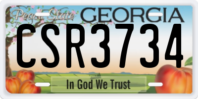 GA license plate CSR3734