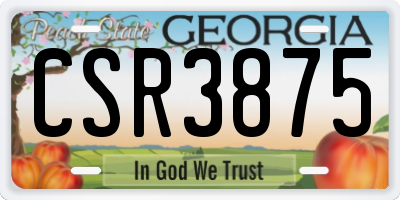 GA license plate CSR3875