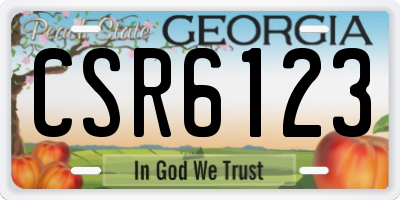 GA license plate CSR6123
