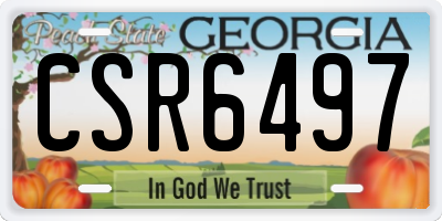 GA license plate CSR6497