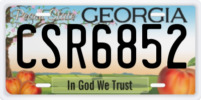 GA license plate CSR6852