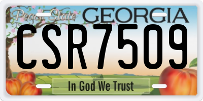 GA license plate CSR7509