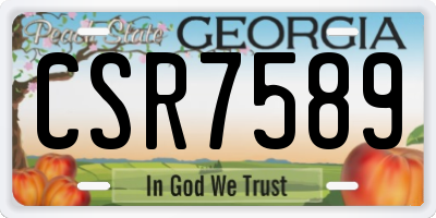 GA license plate CSR7589