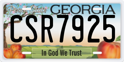 GA license plate CSR7925