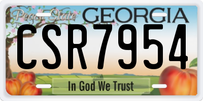 GA license plate CSR7954