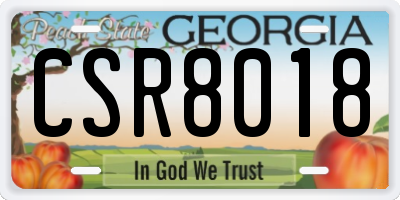 GA license plate CSR8018