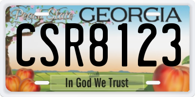GA license plate CSR8123