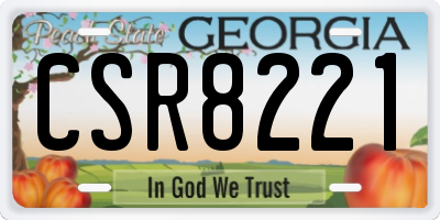 GA license plate CSR8221