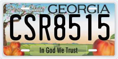 GA license plate CSR8515