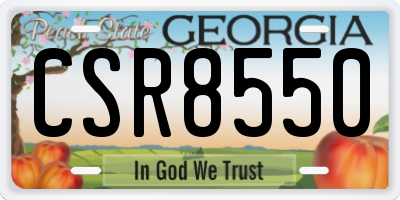 GA license plate CSR8550