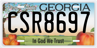 GA license plate CSR8697