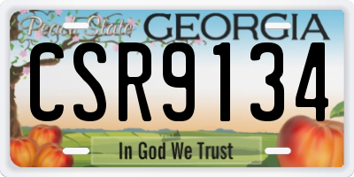 GA license plate CSR9134