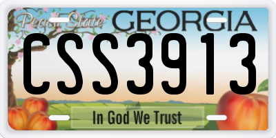 GA license plate CSS3913