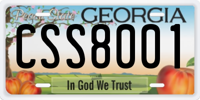 GA license plate CSS8001