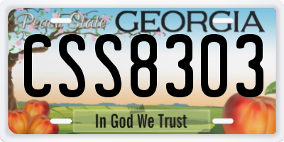 GA license plate CSS8303