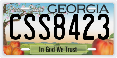 GA license plate CSS8423