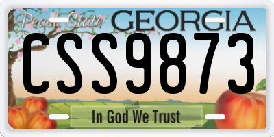 GA license plate CSS9873