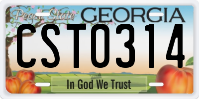 GA license plate CST0314