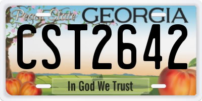 GA license plate CST2642
