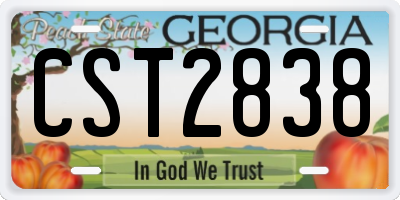 GA license plate CST2838