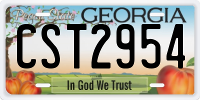 GA license plate CST2954