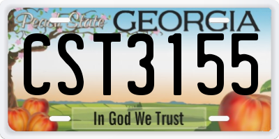 GA license plate CST3155
