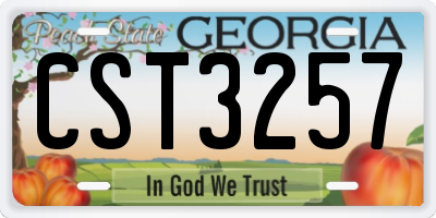 GA license plate CST3257