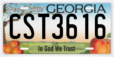 GA license plate CST3616