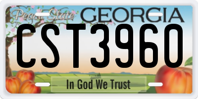 GA license plate CST3960