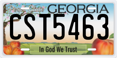 GA license plate CST5463