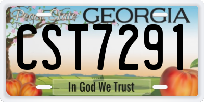 GA license plate CST7291