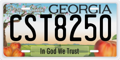 GA license plate CST8250