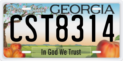 GA license plate CST8314
