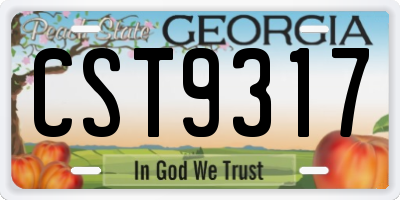 GA license plate CST9317