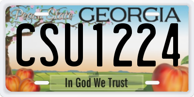 GA license plate CSU1224
