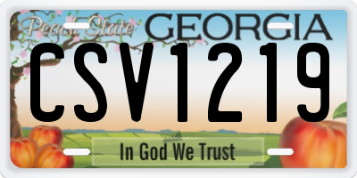 GA license plate CSV1219